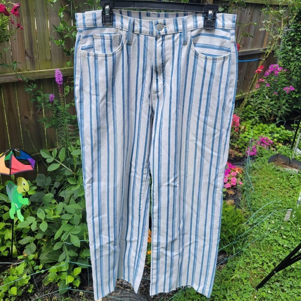 Joe's The Blake Jeans